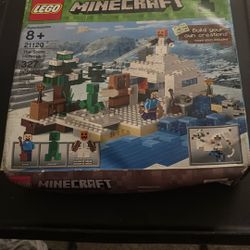 Lego Minecraft 21120