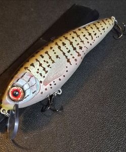 Custom Made Fishing Lure.  1 Of 1
