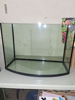 Turtle Tank 36gal