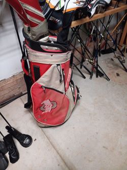 Ohio state staff golf bag