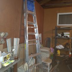 10 Aluminum Ladder