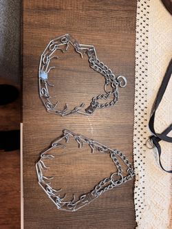 Herm Sprenger Dog Collar