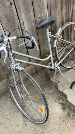 Nishiki custom sport 10 speed