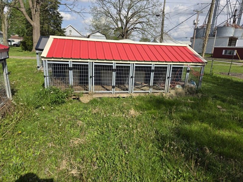 Outside Dog Kennels