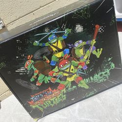 Teenage Mutant Ninja Turtles Surprise Box 