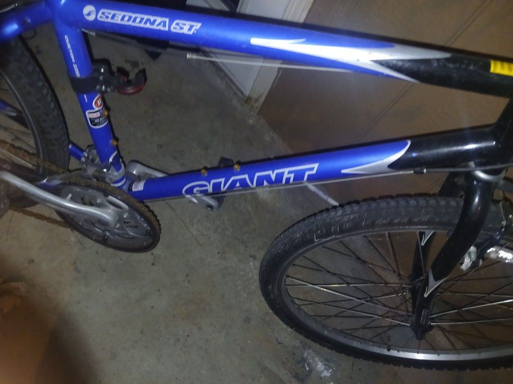 Giant Women Montain Bike