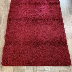 Shag Rug 4x6