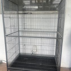 Bird Cage 