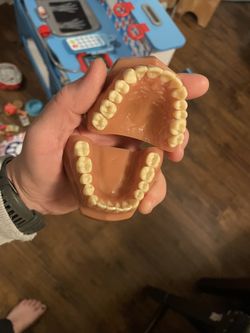 Dental Model, Demonstration Teeth, Typodonts