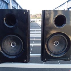 Insignia NS-B2111 Speakers