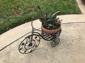 A metal bike planter with a pot of Gasteria succulents