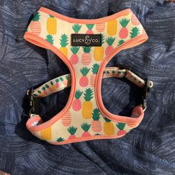 Dog Harness 