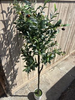 Faux Olive Tree in White Pot