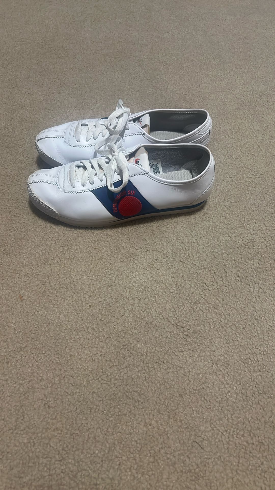 Nike Cortez 72 shoe dog dimension six