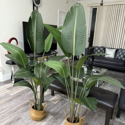 Pretty Artificial Plant 5 FT Tall With Woven Seagrass  Belly Basket! Brand New