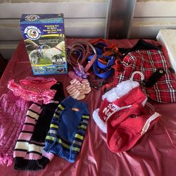 Little Dog  Accessories Sweaters, Socks & More 