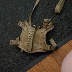 Olive Drab Cat Halter/Leash 