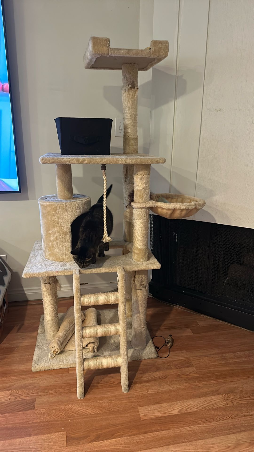Cat Tree/condo MUST GO ASAP!
