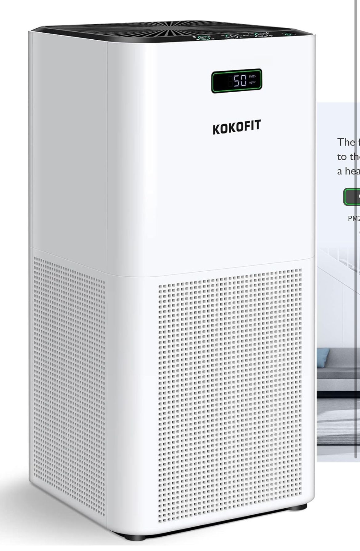 Large Air Purifier