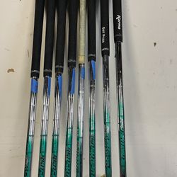 Nippon NS pro Neo