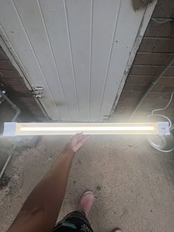 Ceiling Light