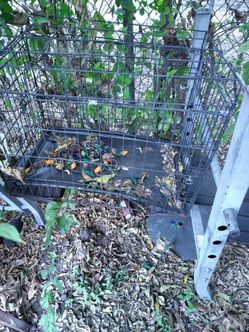 Dog cage