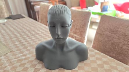 Mannequin head mannequin bust