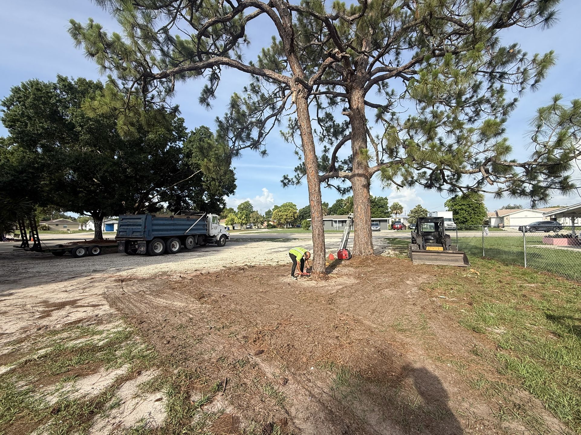 Tree Remove