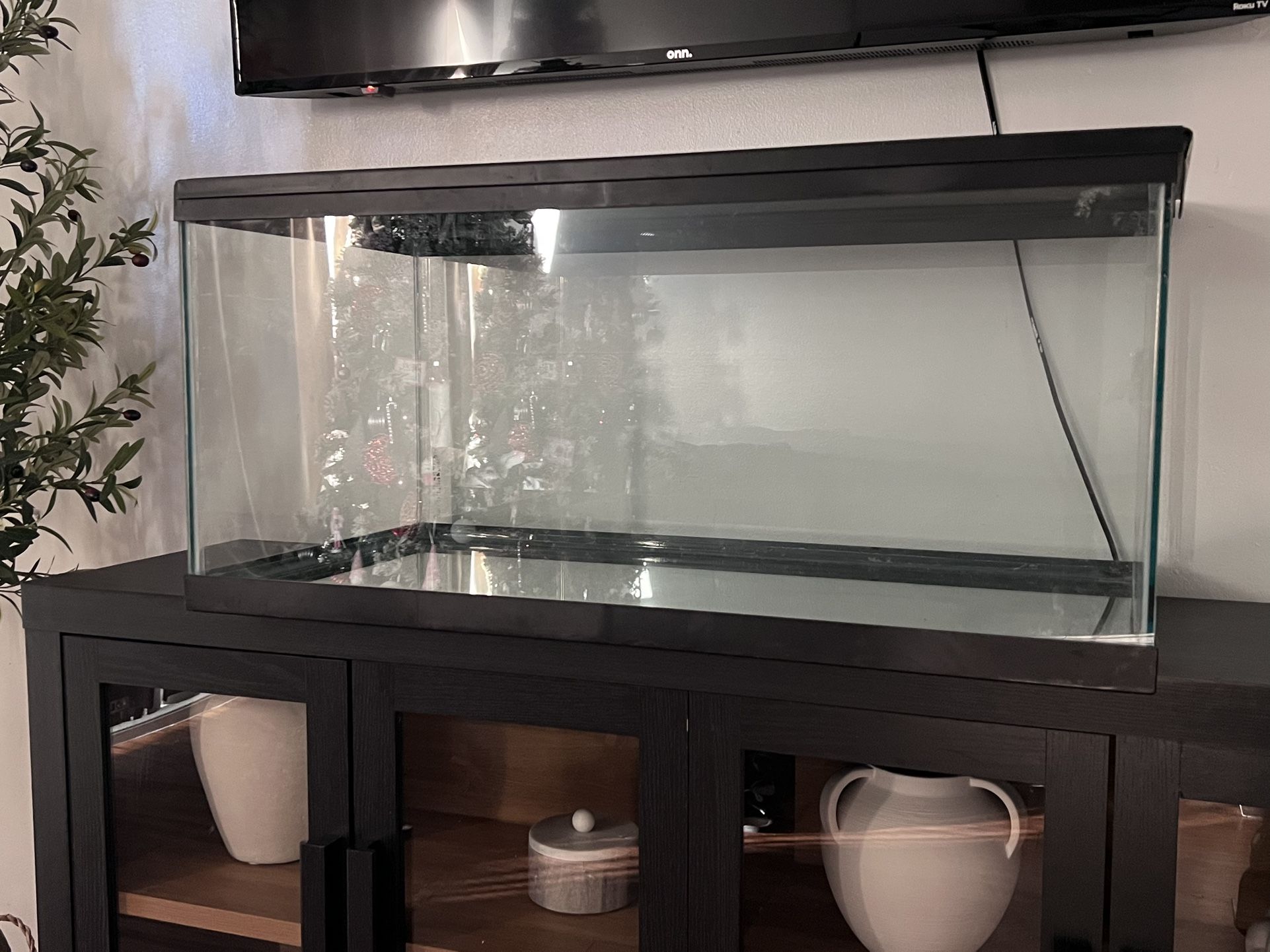 40 gallon tank