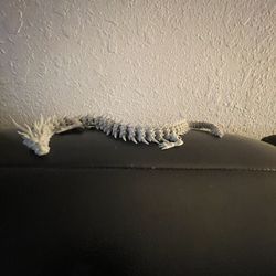 3d Printed Dragon With a Large Egg