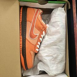 Nike SB Lobsters Special Box Edition