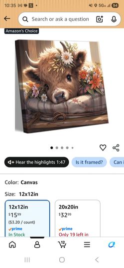 Highland cow lovers galore