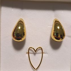 Stainless Steel Earring  and Ring Set 