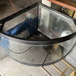 50 gallon Corner Aquarium / Tank