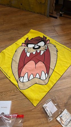 Vintage bandana