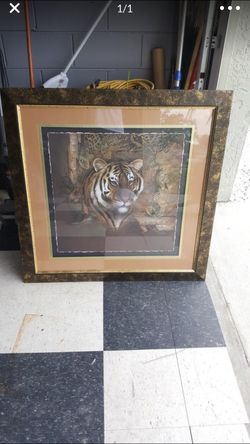 Beautiful large tiger picture frame