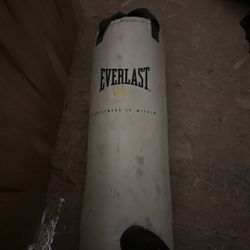 Punching Bag