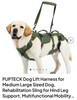 Dog Lift Harness
