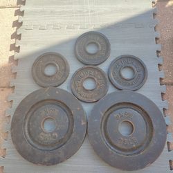 Olympic Weight Plates – 61 lbs Total (25 lb & 2.75 lb Plates)