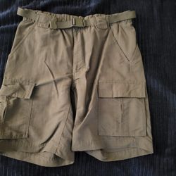 The north face mens cargo shorts