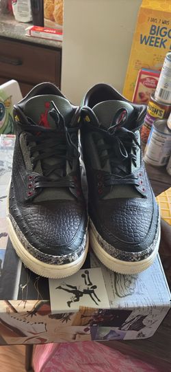 Jordan 3 animal instincts