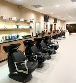 Professional Salon Shampoo Backwash Station - Black Leather & Chrome shampoo bowls