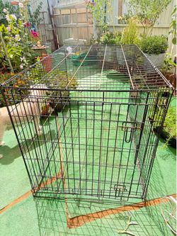 Casa para perros