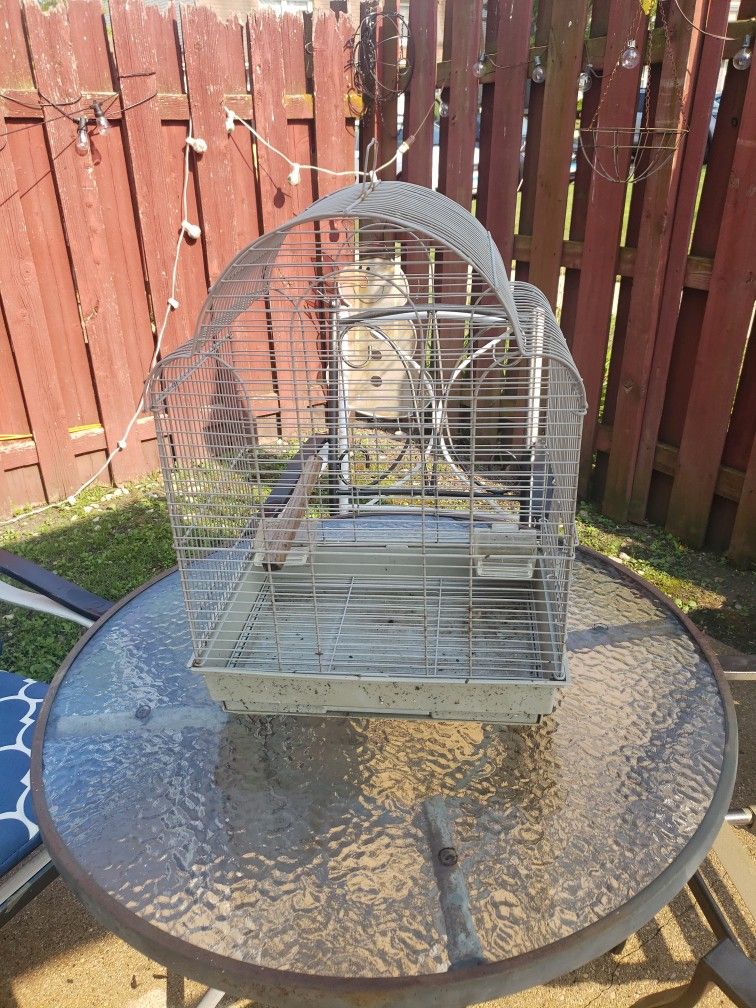 Bird Cage