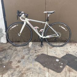 Paramount Schwann Series S 18 Pad