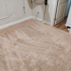 Wheatfield Color Carpet Available For Installation 