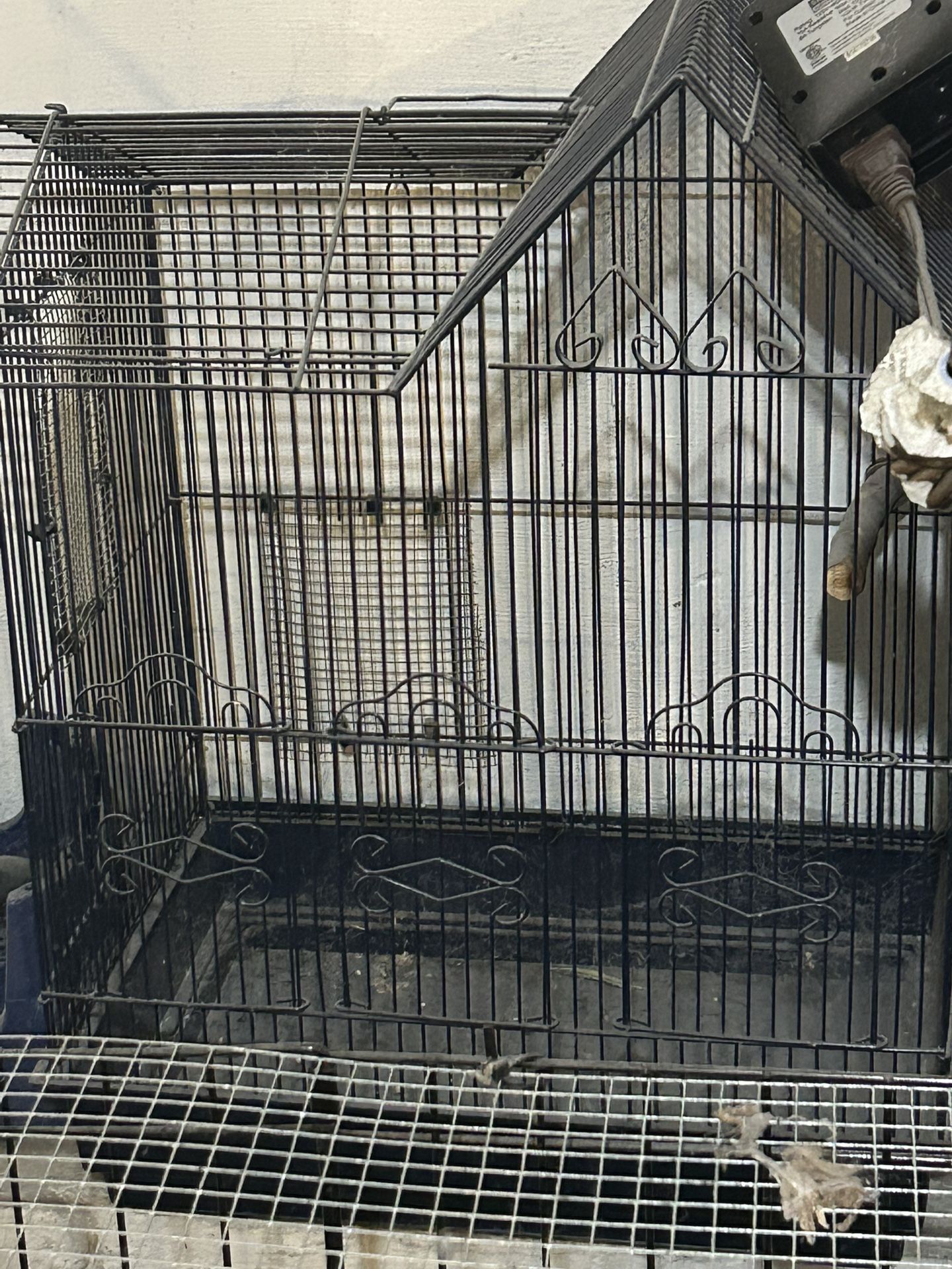 Bird Cage 