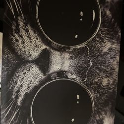 Mid-2012 MacBook Pro