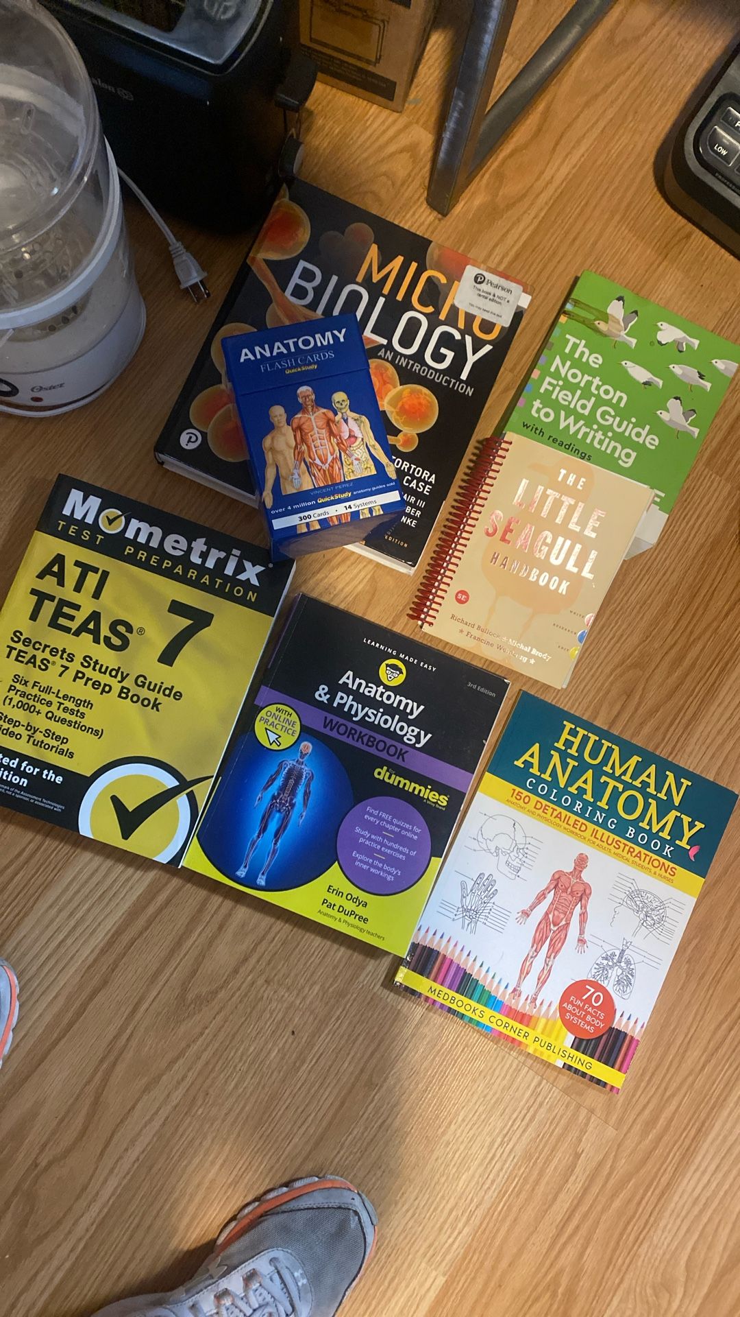 Anatomy Books