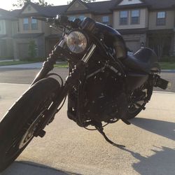 Cash Or Trade - Harley Davidson XL883N Sportster Iron !!!!